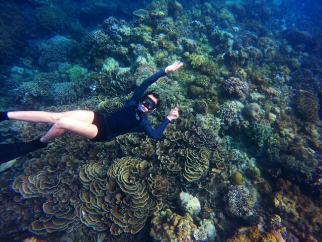 Snorkeller gliding above a vibrant coral reef in the warm waters of the Turks and Caicos Islands.